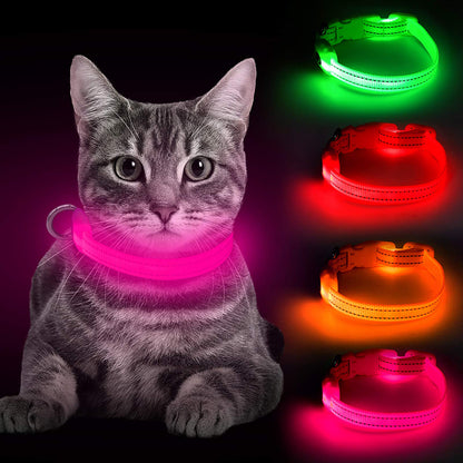 GlowPawGlow (Safety Glow Collar)