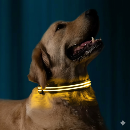 GlowBuddy (Safety Glow Collar)