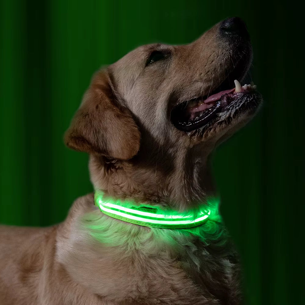 GlowPawGlow (Safety Glow Collar)